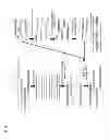 Fig. 02 - ERROR CORRECTION IN NUCLEIC ACID MOLECULES