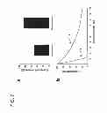 Fig. 08 - ERROR CORRECTION IN NUCLEIC ACID MOLECULES