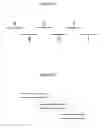Fig. 02 - PEG-MEDIATED ASSEMBLY OF NUCLEIC ACID MOLECULES