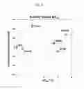 Fig. 08 - Endoglucanase having enhanced thermostability and activity
