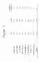 Fig. 22 - DECREASED POLYSACCHARIDE O-ACETYLATION