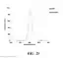 Fig. 50 - Conjugates of biomolecules to nanoparticles