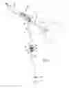 Fig. 02 - Tissue harvesting