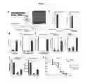 Fig. 06 - Method for culturing stem cell