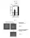 Fig. 07 - Method for culturing stem cell