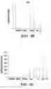 Fig. 07 - Induced pluripotent stem cells with synthetic modified RNAs