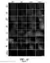 Fig. 22 - Induced pluripotent stem cells with synthetic modified RNAs