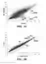 Fig. 35 - Induced pluripotent stem cells with synthetic modified RNAs