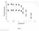 Fig. 04 - Flow-valve diagnostic microfluidic system