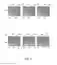 Fig. 08 - METHOD OF IMPROVING SURFACE MORPHOLOGY OF (Ga,Al,In,B)N THIN FILMS AND DEVICES GROWN ON NONPOLAR OR SEMIPOLAR (Ga,Al,In,B)N SUBSTRATES