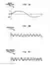 Fig. 07 - Methods and Systems for Down-Converting a Signal Using a Complementary Transistor Structure