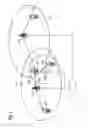 Fig. 02 - Network to Terminal Signaling for Control of Interfrequency Measurements
