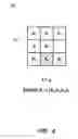 Fig. 05 - Maintaining information facilitating deterministic network routing