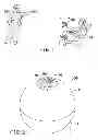 Fig. 02 - INTERACTIVE BALL