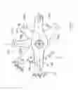 Fig. 08 - Backlash-free planetary gear assembly