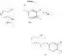 Fig. 07 - Herbicidally active oxime-ether-substituted benzoylamides