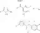 Fig. 22 - Herbicidally active oxime-ether-substituted benzoylamides