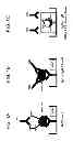 Fig. 02 - Methods for assessing atherogenesis by determining oxidized phospholipid to apolipoprotein B ratios