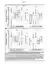 Fig. 08 - Methods for assessing atherogenesis by determining oxidized phospholipid to apolipoprotein B ratios