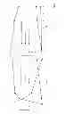 Fig. 04 - Modified antibiotic peptides having variable systemic release