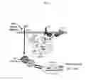 Fig. 02 - COMPOUNDS THAT MODULATE INTRACELLULAR CALCIUM
