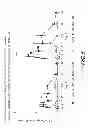 Fig. 06 - Extended release formulation of a direct thrombin inhibitor