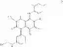 Fig. 06 - COMBINATION