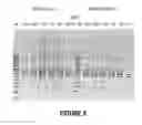 Fig. 06 - Antisense oligonucleotides for inducing exon skipping and methods of use thereof