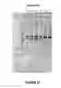 Fig. 22 - Antisense oligonucleotides for inducing exon skipping and methods of use thereof
