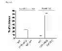 Fig. 07 - Method of gene transfer for the treatment of recessive catecholaminergic polymorphic ventricular tachycardia (CPVT)