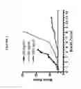 Fig. 03 - BUDIODARONE FORMULATIONS