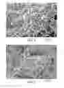 Fig. 02 - Polymeric particles for storage and delivery of active agents