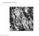 Fig. 06 - Vulcanized polymer blends