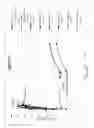 Fig. 02 - Polyurethane Elastomers Based on TDI Prepolymers Enriched in the 2,6-TDI Isomer Cured with Trimethylene Glycol Di-(para Amino Benzoate)