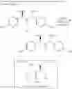 Fig. 14 - Method of preparing chiral ketones from aldehydes