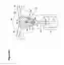 Fig. 103 - Recovery and processing of human embryos formed in vivo