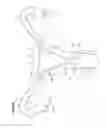 Fig. 12 - Recovery and processing of human embryos formed in vivo