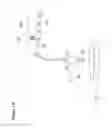 Fig. 24 - Recovery and processing of human embryos formed in vivo