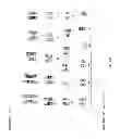 Fig. 06 - TARGETED MODIFICATION OF RAT GENOME