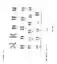 Fig. 09 - TARGETED MODIFICATION OF RAT GENOME