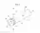 Fig. 02 - G-SPOT LATEX CONDOM