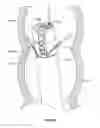 Fig. 136 - Multiple viewing elements endoscope system with modular imaging units