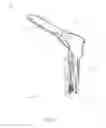 Fig. 06 - Speculum