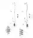 Fig. 34 - Microwave antenna apparatus, systems, and methods for localizing markers or tissue structures within a body
