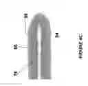 Fig. 08 - Brachytherapy fiducial needle fixation system and method