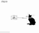 Fig. 42 - WIRELESS PLETHYSMOGRAM SENSOR UNIT, A PROCESSING UNIT FOR PLETHYSMOGRAM AND A PLETHYSMOGRAM SYSTEM