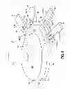 Fig. 02 - Biological fluid sampling device