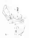 Fig. 08 - Biological fluid sampling device