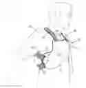 Fig. 01 - Chest Brace