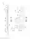 Fig. 09 - Closure system for an ostomy pouch and related methods